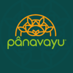 Panavayu